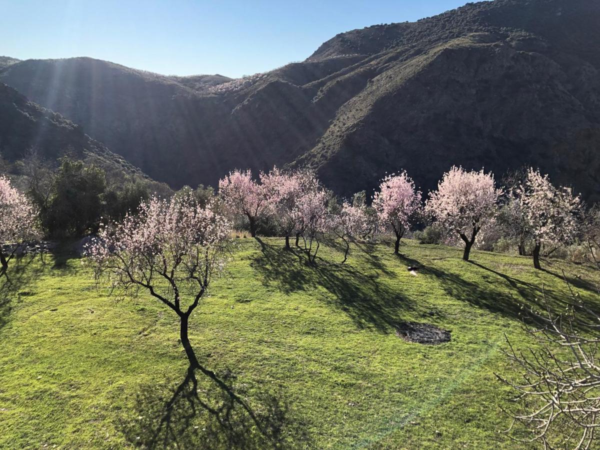 Casa Carmela, Rural House With Spectacular Views, In An Exquisite Area Villa Atalbeitar Exterior photo