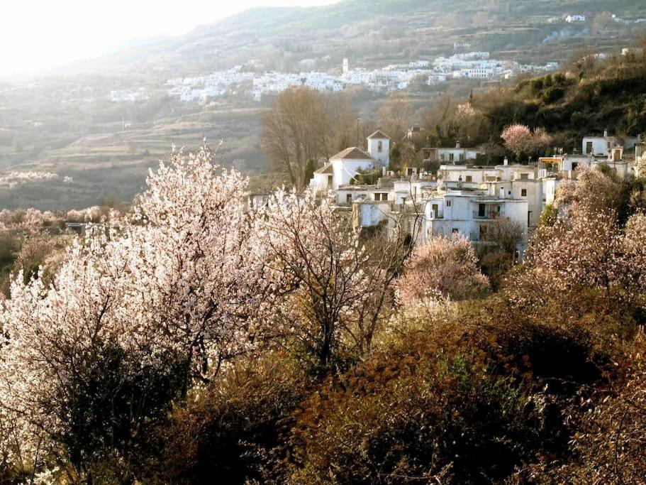 Casa Carmela, Rural House With Spectacular Views, In An Exquisite Area Villa Atalbeitar Exterior photo